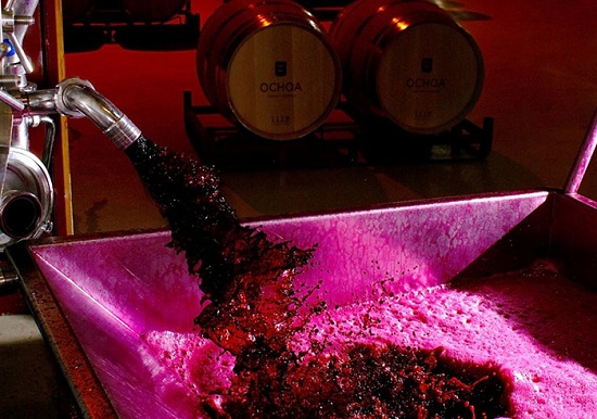 proceso de elaboracin del vino tinto