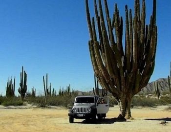 valle de los cactus en mexicali