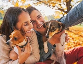 en febrero festejamos el da de consentir a tu mascota