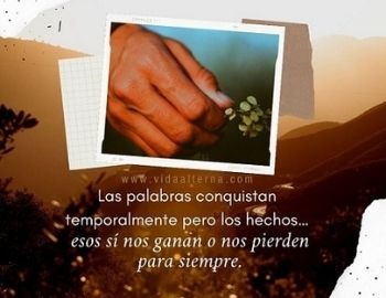 te regalo esta frase